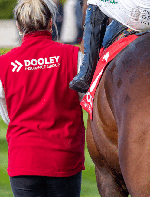 Dooleys Insurance Novice Chase (Tuesday)