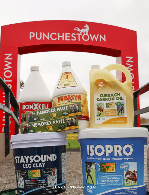 TRM Equine Nutrition Salute Stable Staff with Punchestown Season Best Turned Out Series