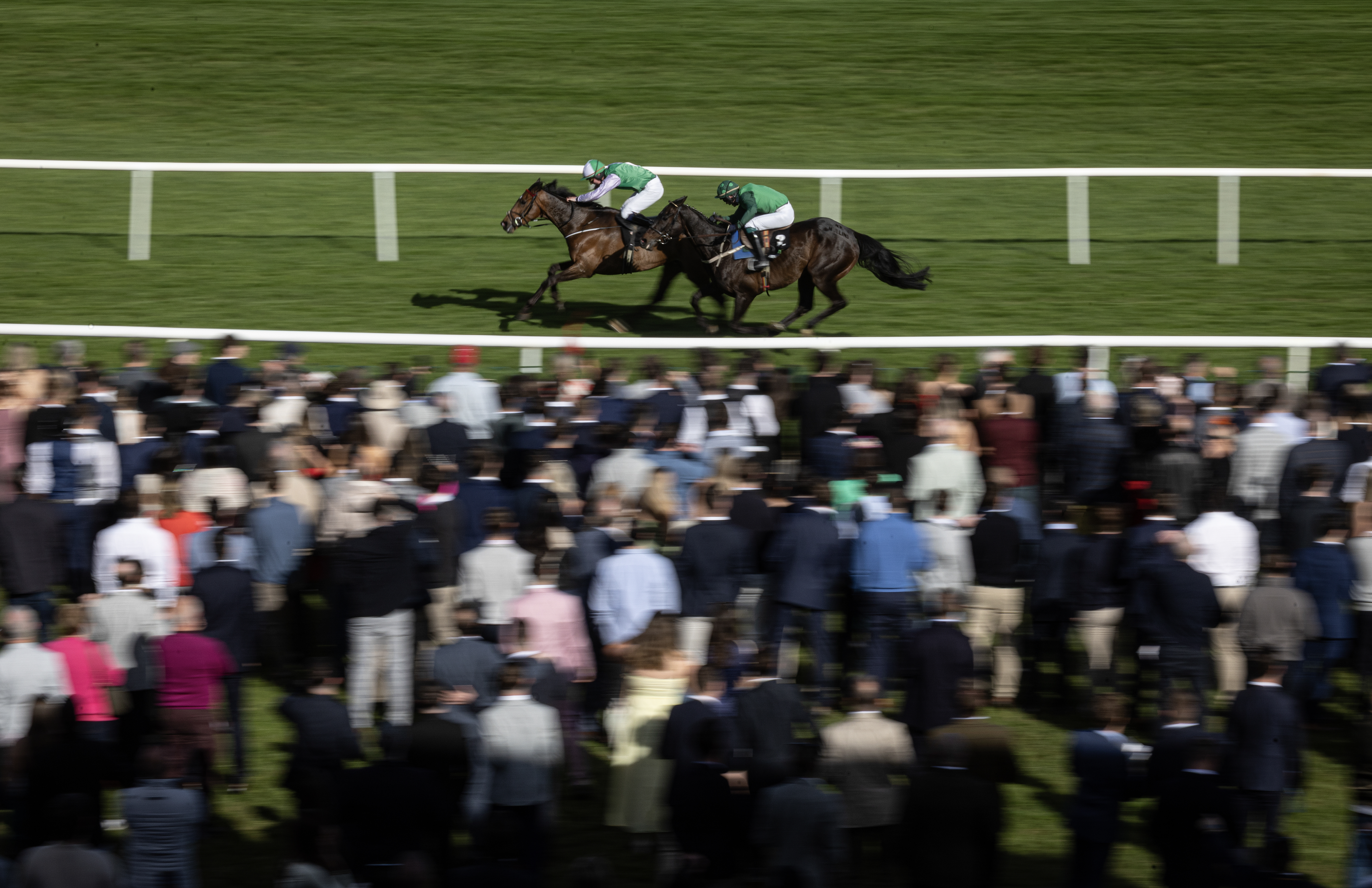 Punchestown Grade 1 Entries – LIVE