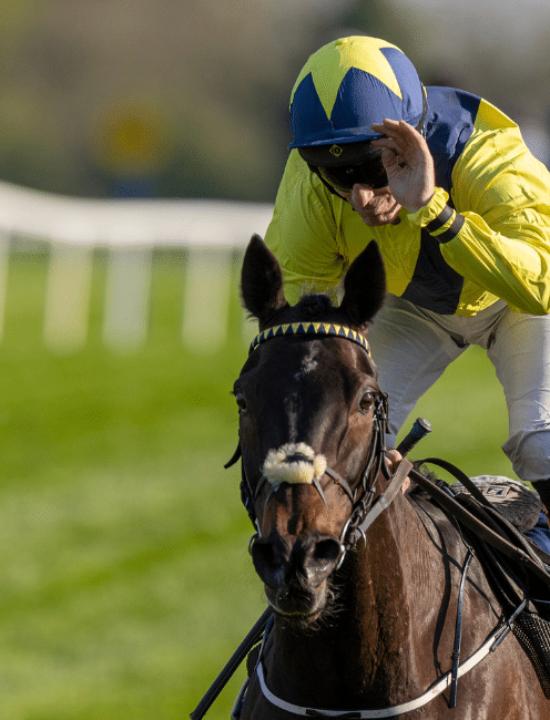 RECORD €3.6 MILLION PRIZE FUND ANNOUNCED FOR 2026 PUNCHESTOWN FESTIVAL