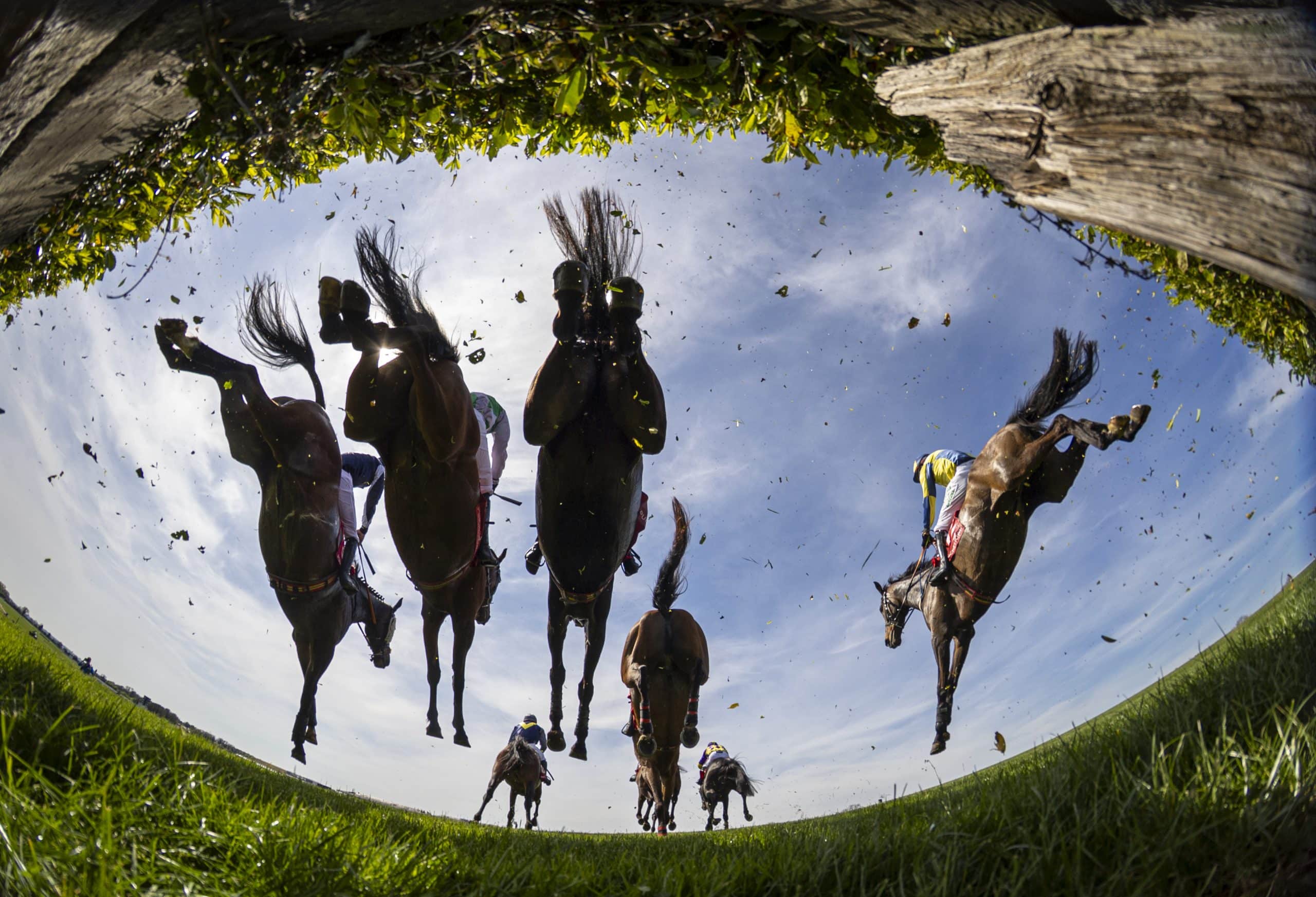 Ladbrokes Gold Cup Day Record Attendance at Punchestown Today