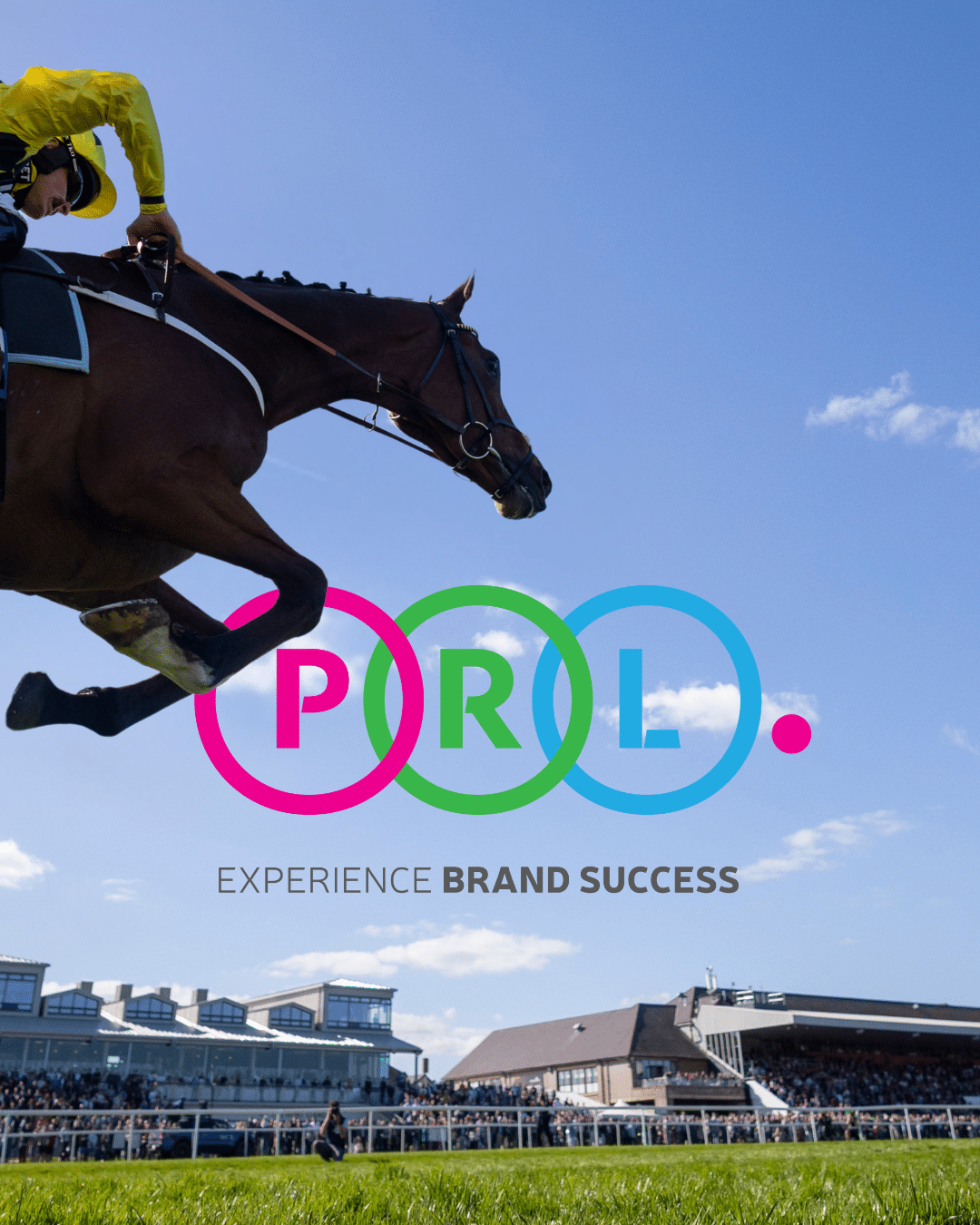 The PRL Champion Novice Hurdle To Raise Punchestown Grade One Curtain  